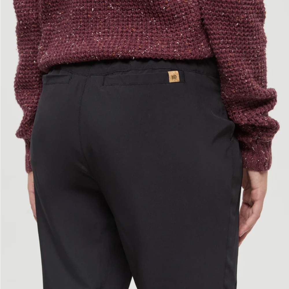 Tentree Pants